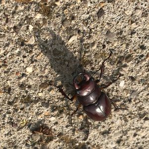 Meet your Posher, Aaron